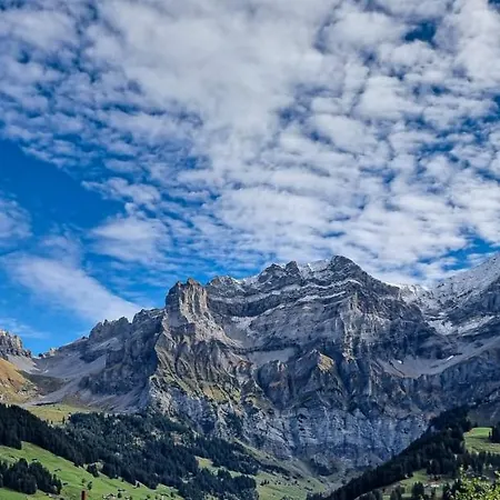 Bonderblick *