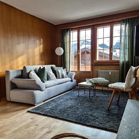 Daire Bonderblick Adelboden